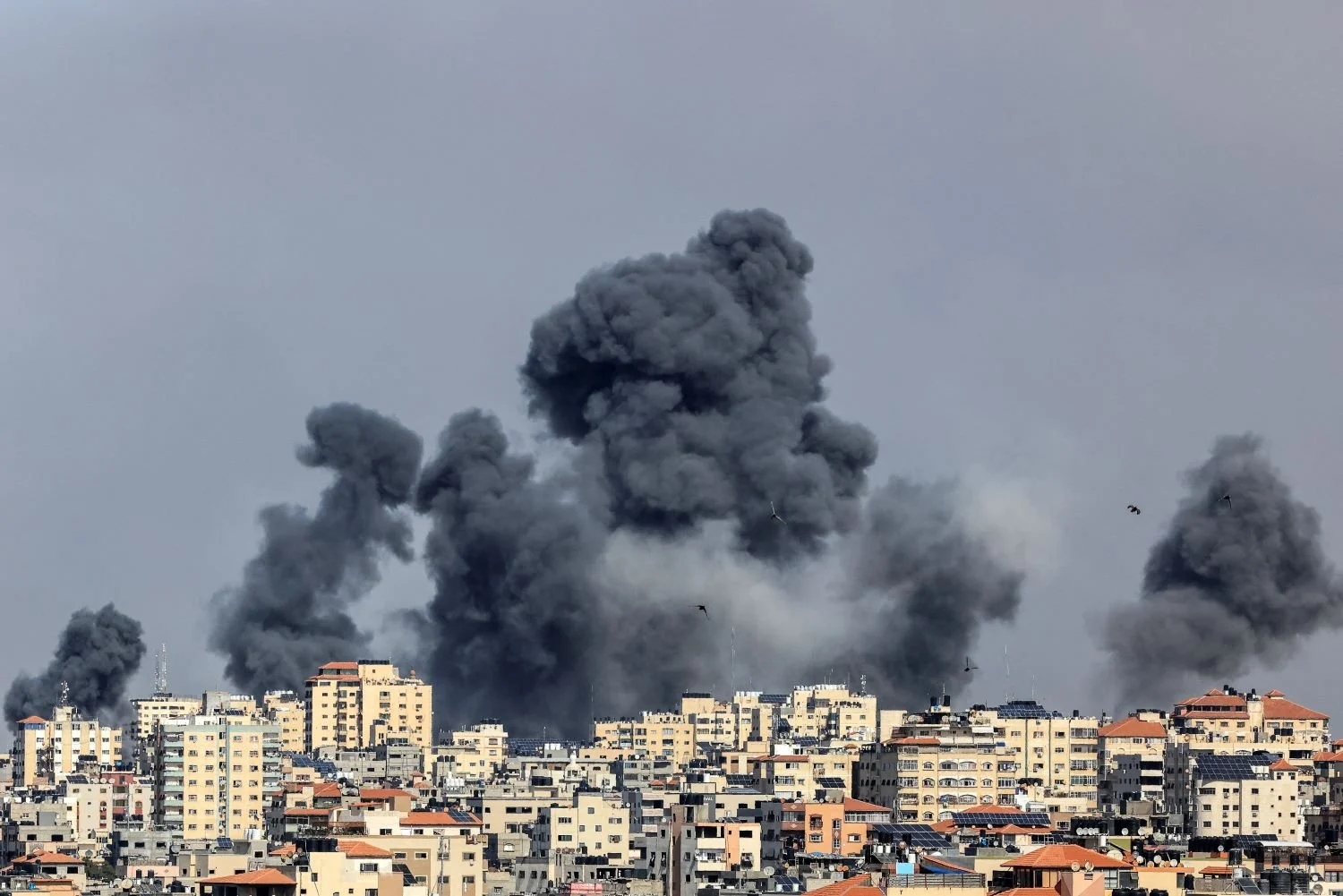 فلسطين في 22 مايو 2025: بين التحديات والآمال
